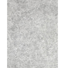GRAY LIGHT