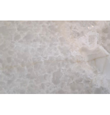 IVORY (82-1)