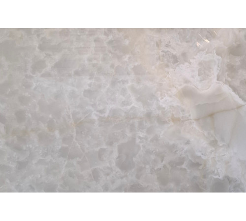 IVORY (82-1)