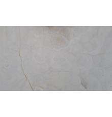 WHITE BUBBLE