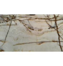WHITE SPIDER